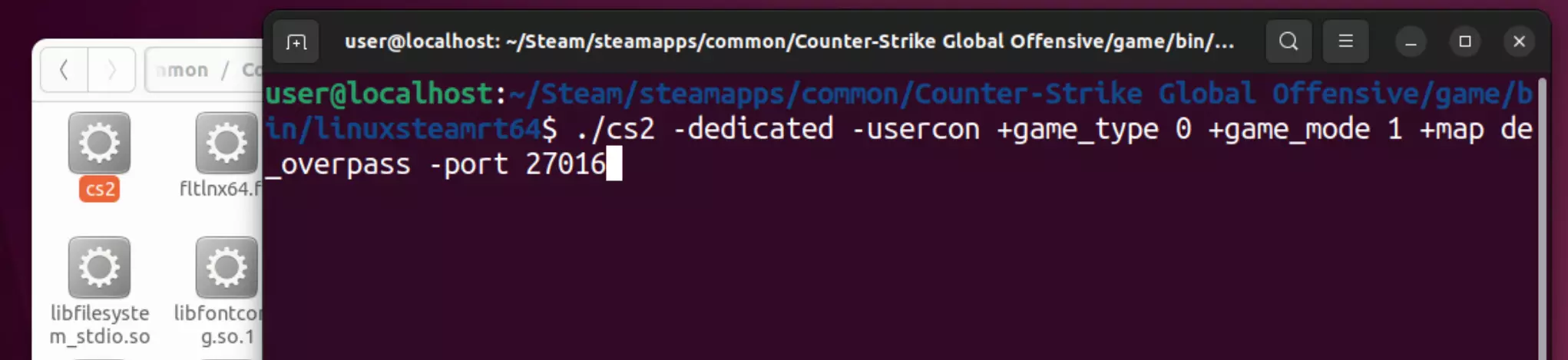 Enter CS2 server startup command Image: Enter CS2 server startup command