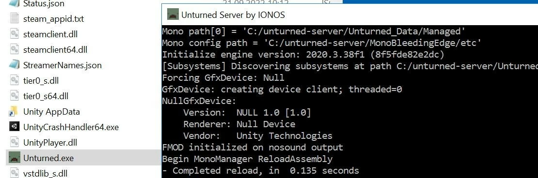 Image: Unturned.exe and started server in command prompt window