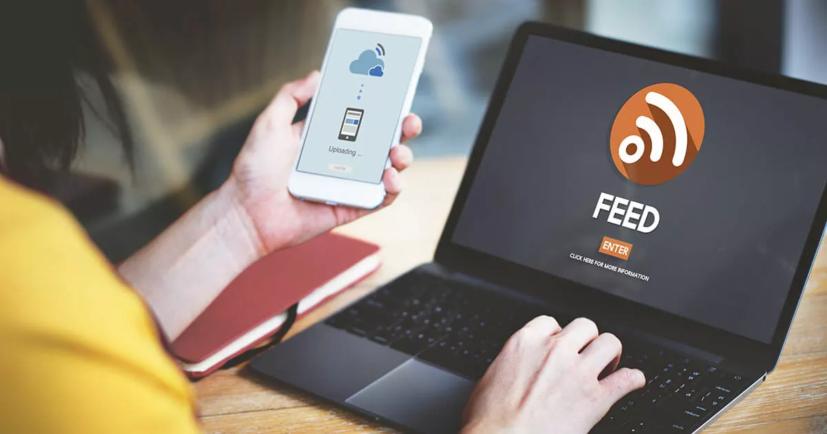 Image: What is WordPress RSS feed and how to use it correctly?